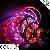 Rgb 3528 Led Tape Light 60pcs / M