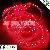 Red Flexible 12v / 24 5050 Waterproof Led Strip Light