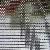 18 Mesh Stainless Steel Wire Netting