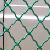 Beautiful Grid Mesh Fencing