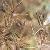 Sell Pycreus Globosus Extract Plant Extract, Herb Medicine, Herb Extract, Saponin, Pigment
