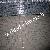Welded Wire Mesh Fabrics