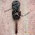 Nissan 2button Remote Key Shell Nsn14