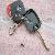 Ford Fo21 Elctric Chip Key Shell