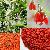Wolfberry Extract