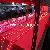 Flex Strip Led, Flexible Led Strips, Wholesale From Prime International Lighting Co, Limited China