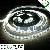 Smd5050 Waterproof Flexible Led Strip Pure White Light