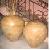 Genthong Polos Telur S / 3 Vessel Indonesian Classic Furniture