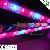 Led Grow Bar Special For Greenhouse Growing