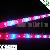 Waterproof Ip68 High Power Led Grow Strip Light
