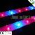 Waterproof Led Grow Light For Greenhouse, Horticultural