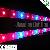 Waterproof Plant Grow Led Strip Light For Greenhouse