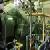 Used Mitsubishi Hfo Generating Station