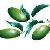 Oleuropein Olive Leaf P E P E