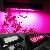 Supply New Type Led Growing Light / Plant Growth Light