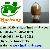 Giant Knotweed Extract Resveratrol