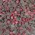 Pasco Hotfix Rhinestone