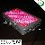 300w Led Grow Lamp Hydroponics