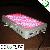 300w Led Grow Light / Ce Approved Grow Light