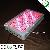 300w Powerful Professional Plant Led Grow Light