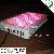 300w Red And Blue 8 1 Led Grow Light With High Luminous Intensity