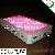 Best For Plants 300w Led Grow Light