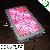 High Quality 300w Led Plant Grow Light Panel