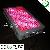 Hydroponic 300w Led Grow Light For Flower Accelerator