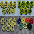 Floor Polishing Pads