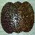 3-step Wet Polishing Pad