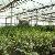 Supply Greenhouse Film
