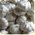 Sell Fresh Normal Garlic, White Garlic / Flakes
