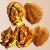 Sell Walnuts  In Shell Walnuts, Walnut Kernels