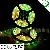 1606 Dream Led Strip 5050