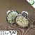 3528 Smd Gu10 Led Spot Lamp 110v-130v / 220v-240v