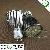 Ac110v / 220v Ce / Rohs E27 Smd Led Spotlight