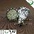 Aluminum Smd Led Spot Lamp