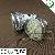 Aluminum Smd5050 Led Cup