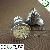 Aluminum Smd5050 Led Spotlight