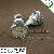 E14 / E27 / Gu10 Smd Aluminium Led Spot Lamp