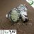 Gu10 High Quality Smd Led Spot Lamp