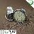 High Bright 5050 Smd Led Spot Light Gu10