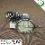 High Lumens Gu10 / E27 / E14 / Mr16 5050 Smd Led Spot Light