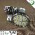 High Lumens Gu10 / E27 / E14 / Mr16 5050 Smd Led Spotlight