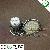 Hot Sales Super Bright Gu10 Smd Led Spotlight