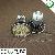 Hotsales And Favorable 3528 Smd Led Spot Lamp