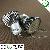 Hotsales And Favorable 3528 Smd Led Spot Light