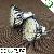 Mr16 Smd Led Spotlight