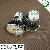 Mr16 Spot Lightsmd 3528 Led Spotlight Cool White
