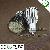 Warm White Mr16 Smd Led Spotlight